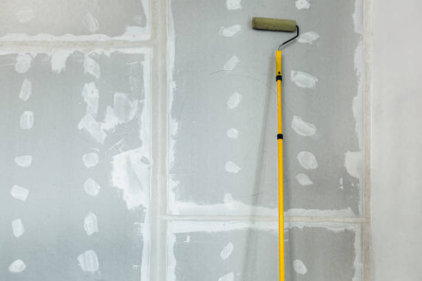 Professional Dry wall and painting in Whitesboro, AL